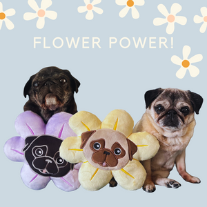 Mini Flower Pug Pillow - Black & Fawn