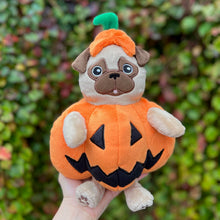 Pugkin Pug Pumpkin Plushie - Black & Fawn Limited Edition