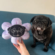 Mini Flower Pug Pillow - Black & Fawn