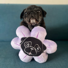 Mini Flower Pug Pillow - Black & Fawn