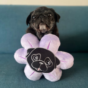 Mini Flower Pug Pillow - Black & Fawn