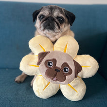 Mini Flower Pug Pillow - Black & Fawn
