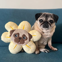 Mini Flower Pug Pillow - Black & Fawn