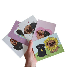 Gift Box Crazy Pug Lady - Black