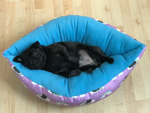 Black Unipug, Special Edition - Boat Bed
